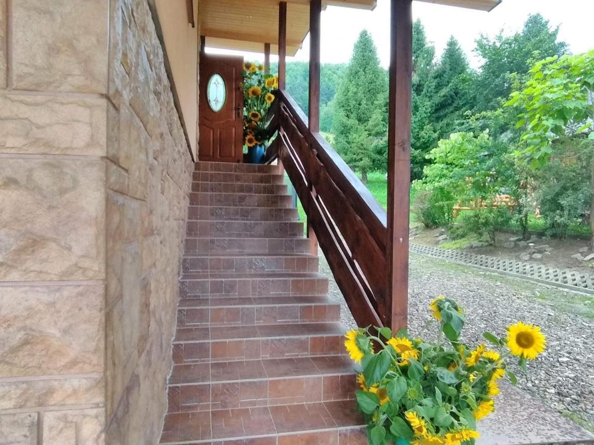 Noclegi Pod Lasem Solina 20 Экстерьер фото